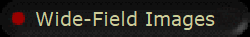 Wide-Field Images